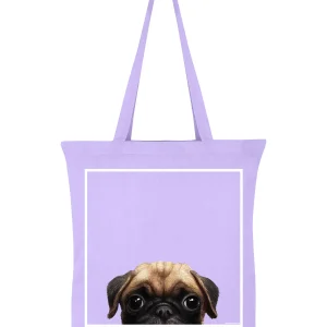 Pug