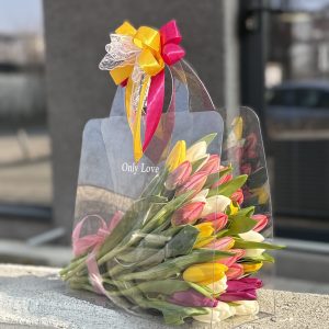 A bag full of Tulips