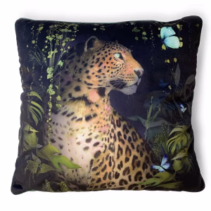 Summer Thornton Cushion